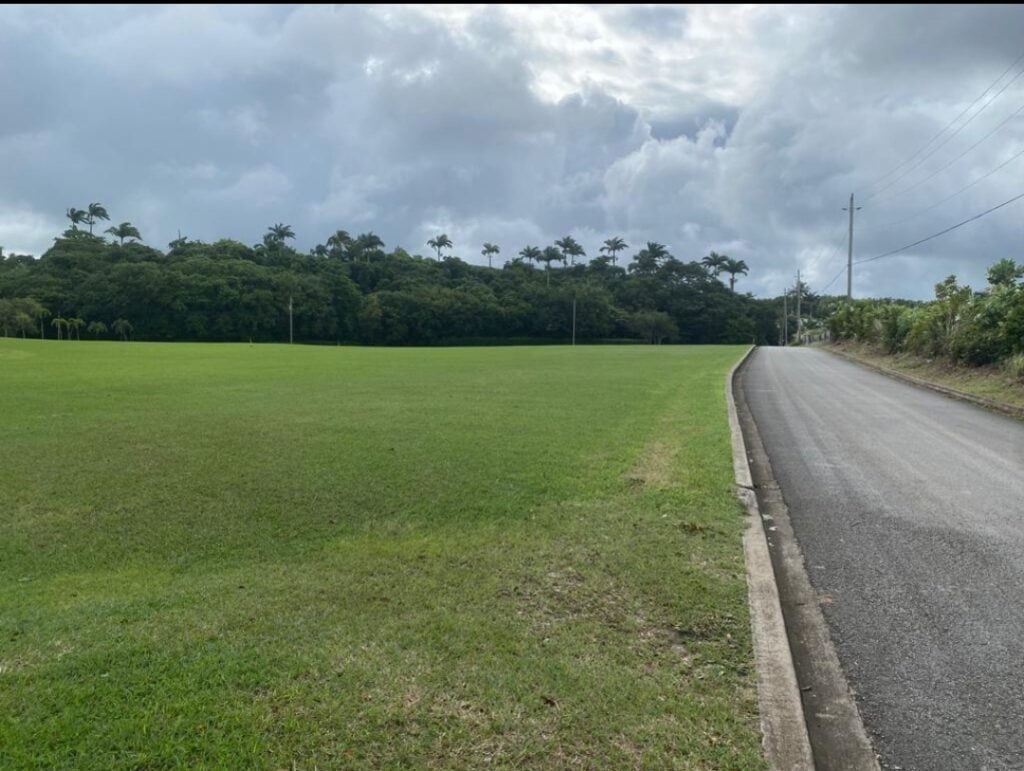 Plot of land Mt Tabor St John