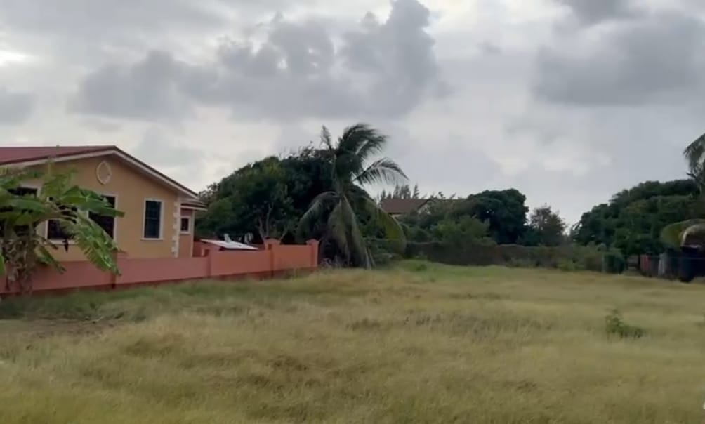 Peat Bay Merricks St Philip