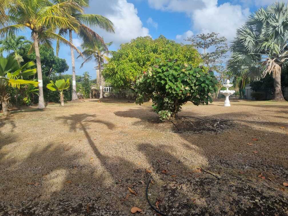 Callenders Crescent Christ Church Land for Sale - Center Tree